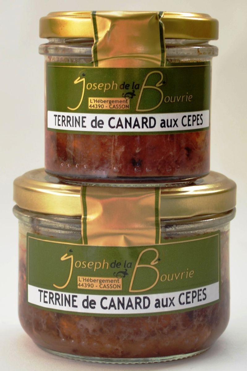 Terrine de canard aux cèpes